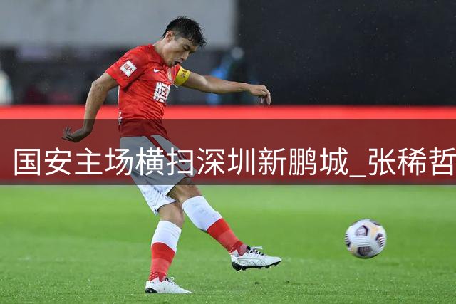 国安主场横扫深圳新鹏城 张稀哲梅开二度锁定胜局