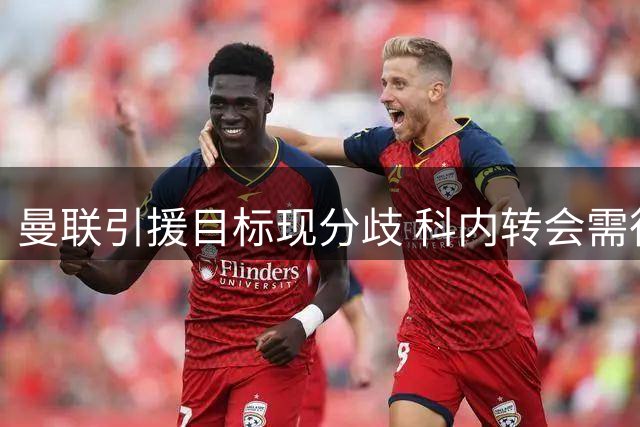 曼联引援目标现分歧 科内转会需待技术总监拍板